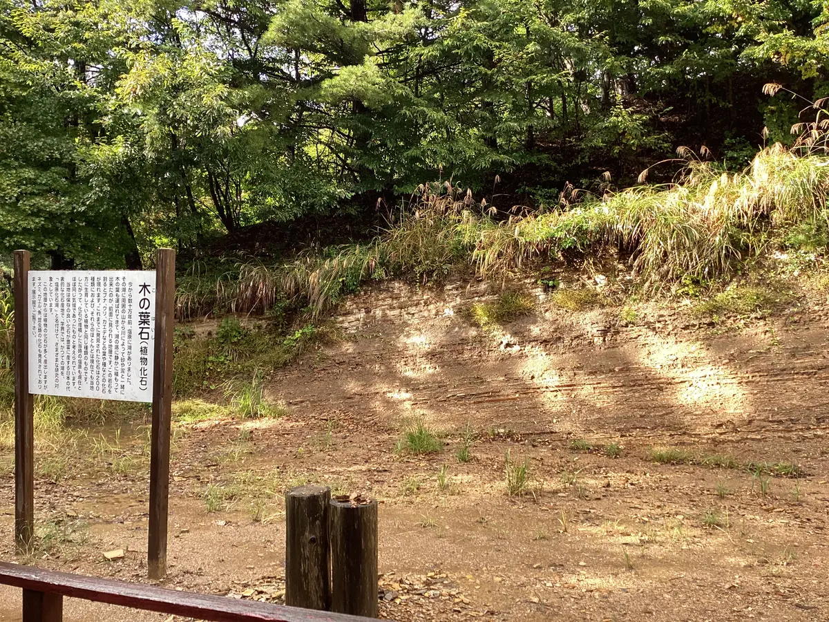 お泊まりドライブ🚗木の葉化石園、塩原温泉♨️｜園芸日記byいぶたん｜みんなの趣味の園芸｜1131843