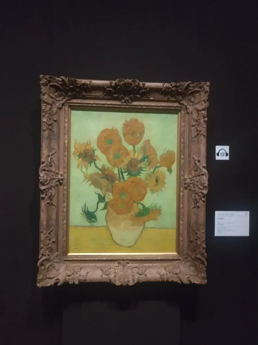 新宿のSOMPO美術館 ゴッホと静物画 2 ?｜園芸日記byドブたぬきの部屋 