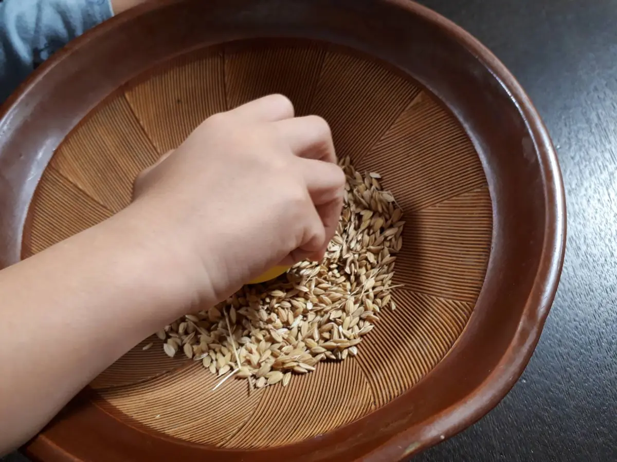 籾殻とり 61P2f+AlJjL._AC_UF350,