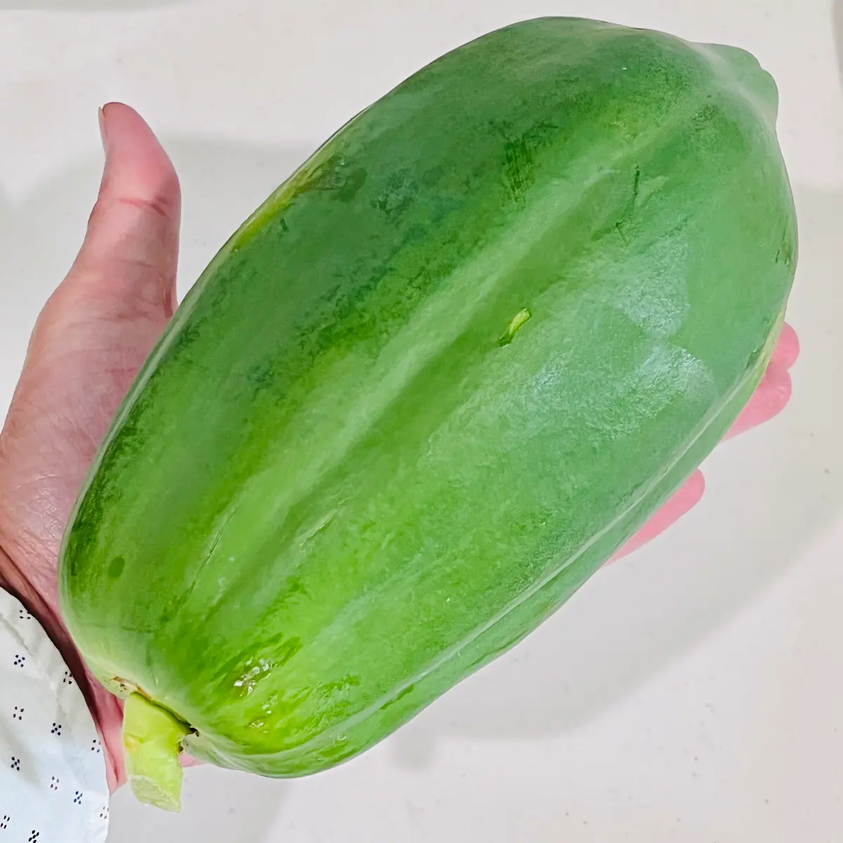 プレゼントを選ぼう！ 初・青パパイヤ🎵｜園芸日記bymasaさん｜みんなの趣味の園芸 野菜
