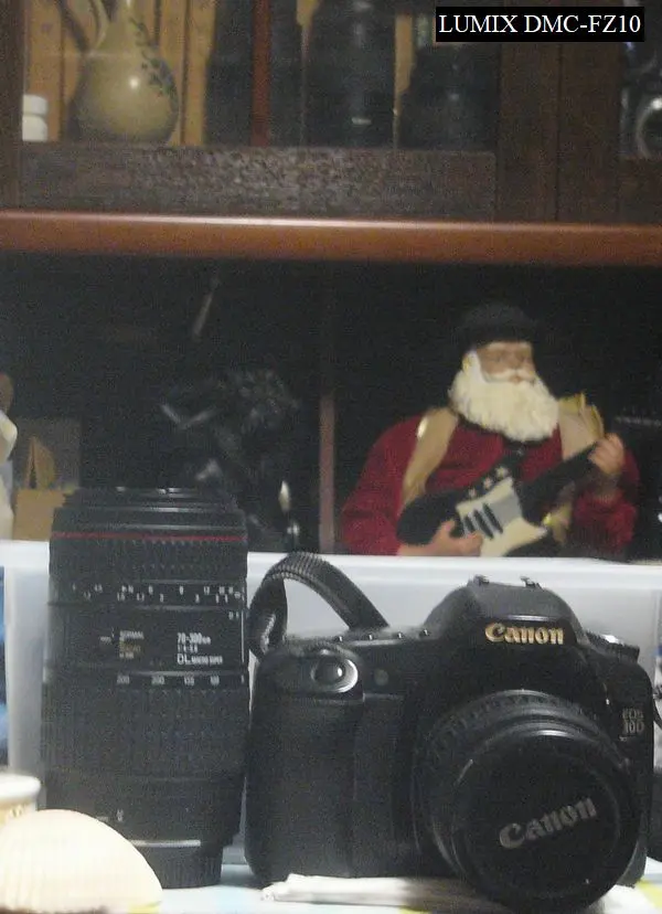 深夜にゴソゴソ～20年前のｵｰﾙﾄﾞｶﾒﾗLUMIXDMC-FZ10｜園芸日記byほんわか