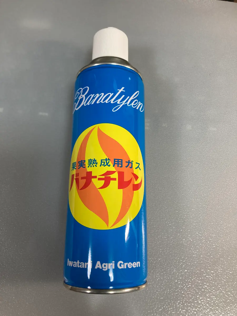 キウイフルーツの追熟方法｜園芸日記byヒデ3｜みんなの趣味の園芸