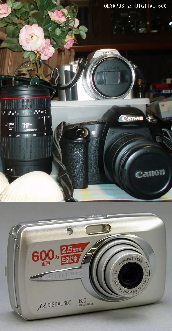 新発売の 深夜にゴソゴソ～ｵｰﾙﾄﾞｶﾒﾗOLYMPUSμDIGITAL600｜園芸日記by デジタルカメラ