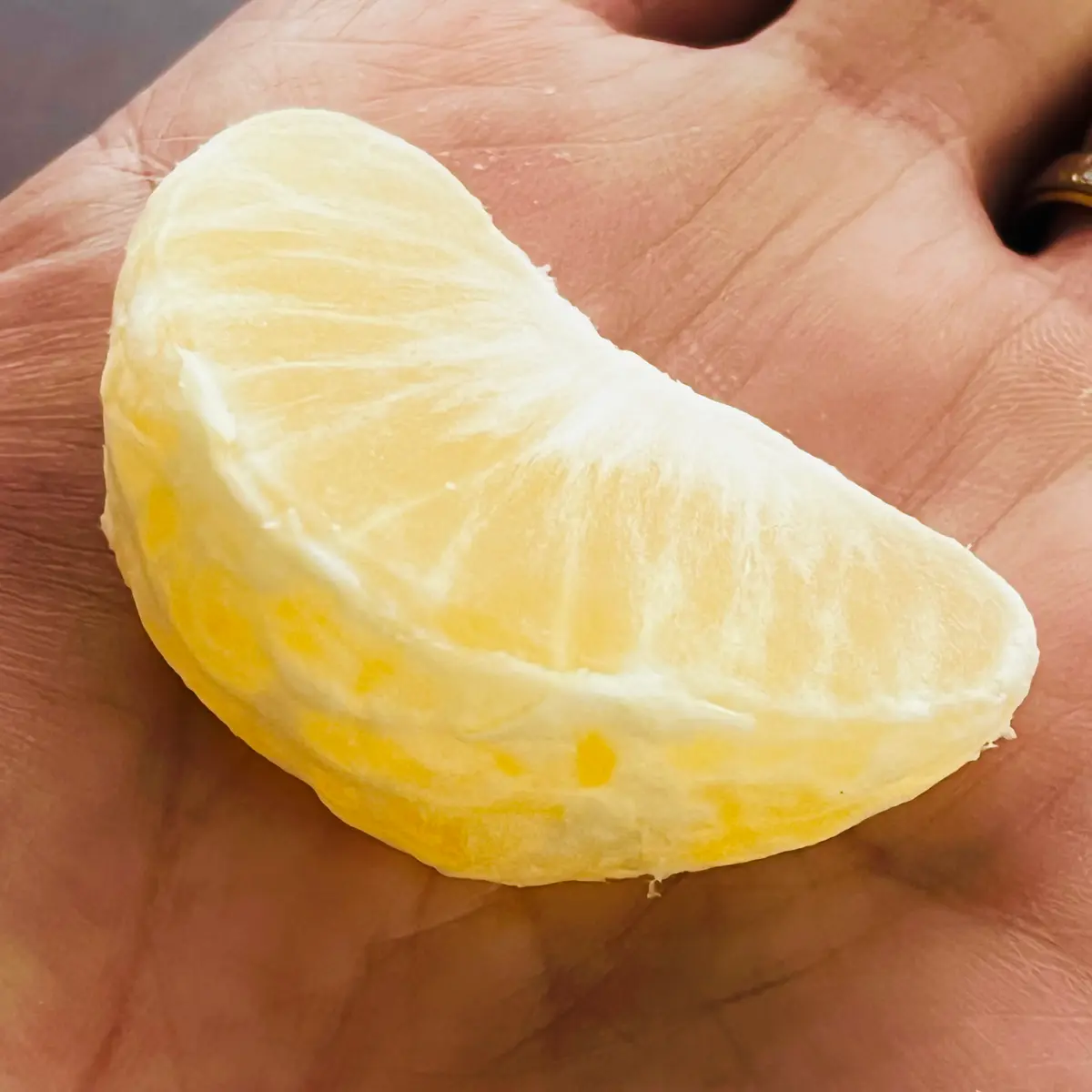 湘南ゴールド🍊｜園芸日記bymasaさん｜みんなの趣味の園芸｜1148501