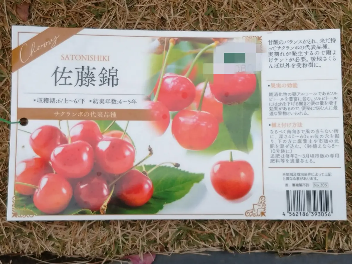 雪の豪奢 🍒サクランボ【佐藤錦】☃️｜園芸日記bymtaka｜みんなの趣味の 版画