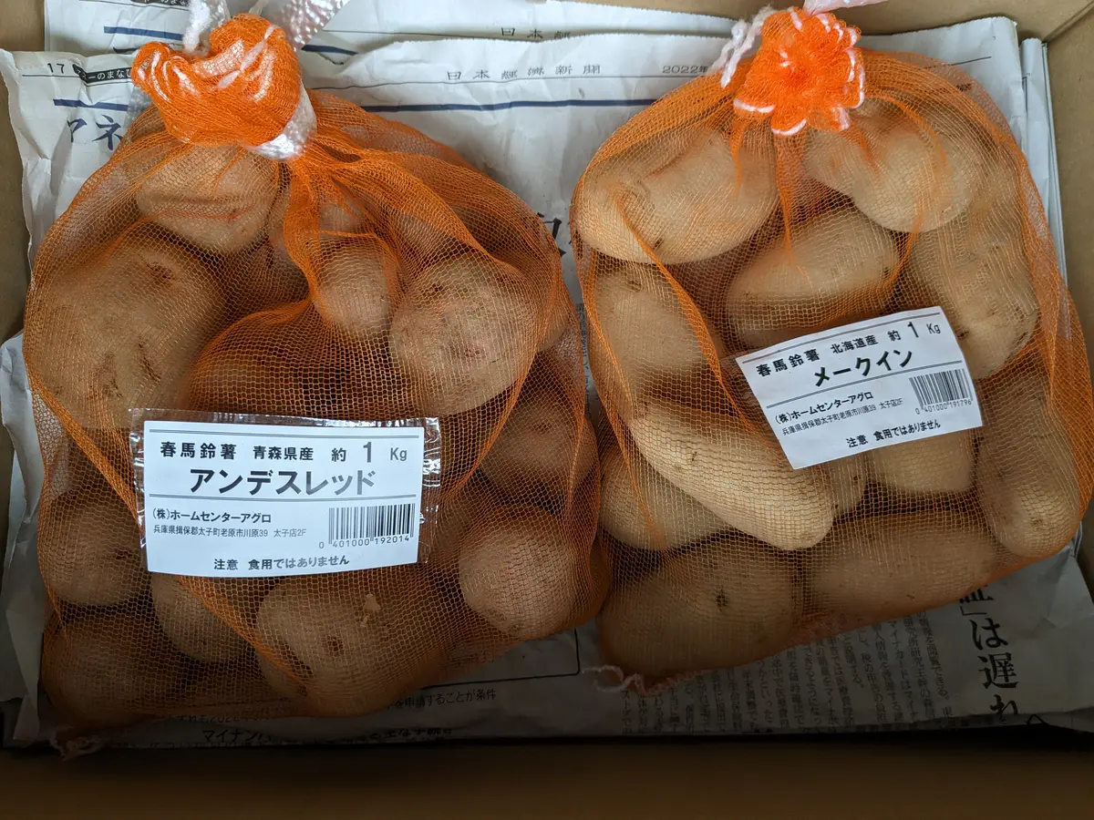 畑通信：春ジャガの種イモ、ゲットしました。｜園芸日記byとまトマトん