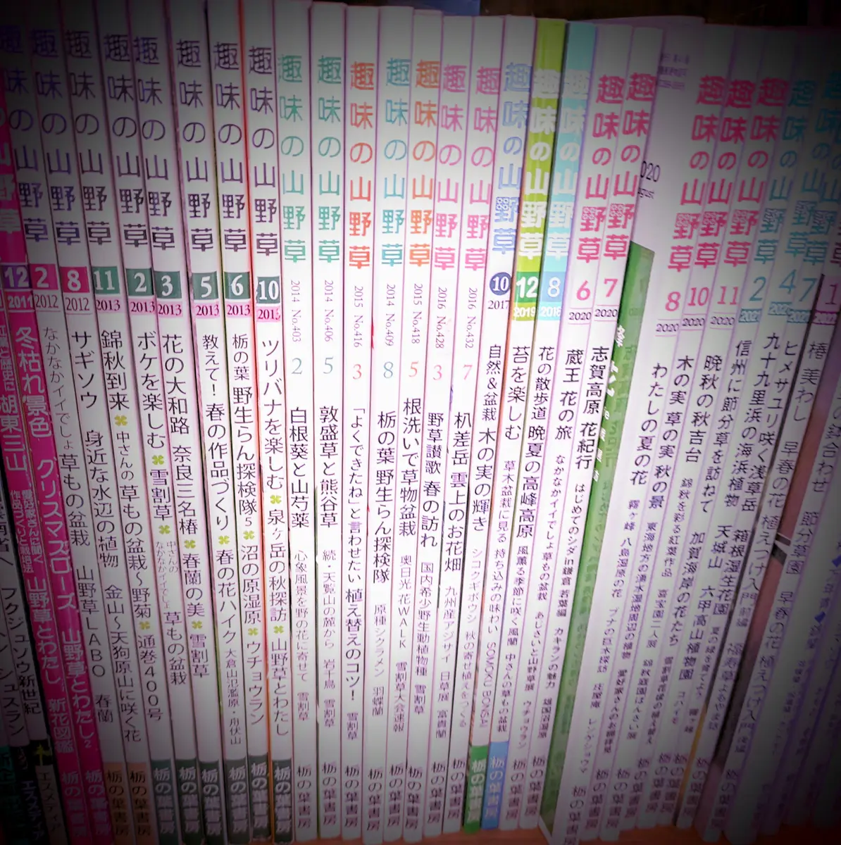 趣味の山野草 2017年01月号 趣味の山野草2023年5月号 : Amazon.sg: Books