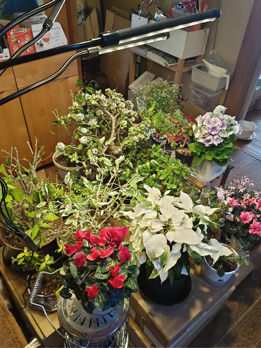 ながいながいながい様専用】HaruDesign 植物育成ライト （これで