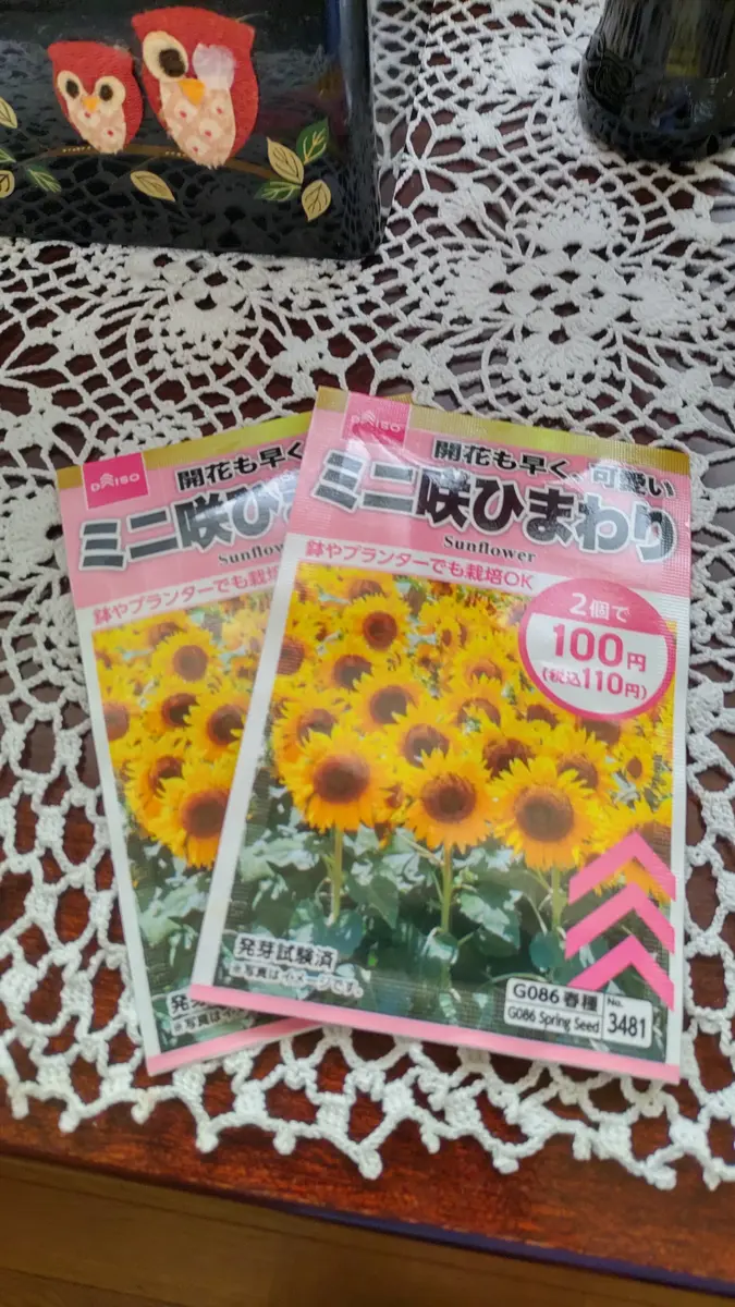 ミニ咲きひまわり♪｜園芸日記byネコパンチ1967｜みんなの趣味の園芸