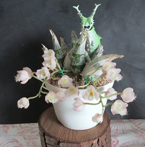 竹の子の花｜園芸日記byレプト｜みんなの趣味の園芸｜1167534