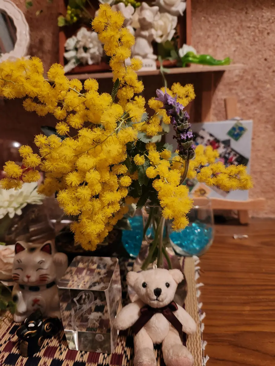 ミモザの花言葉｜園芸日記byピンク·レモネード｜みんなの趣味の園芸
