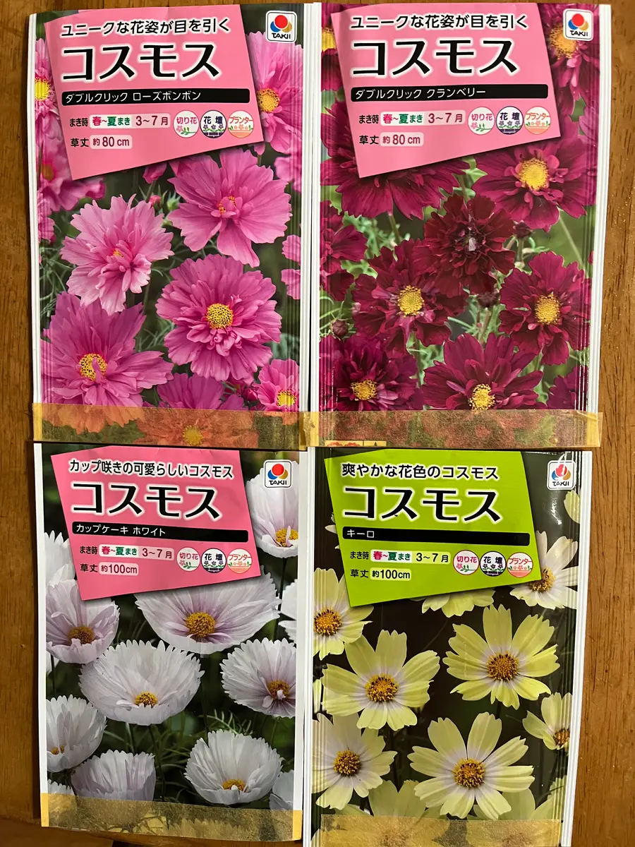 コスモスの種蒔き｜園芸日記bytomo74｜みんなの趣味の園芸｜1170836