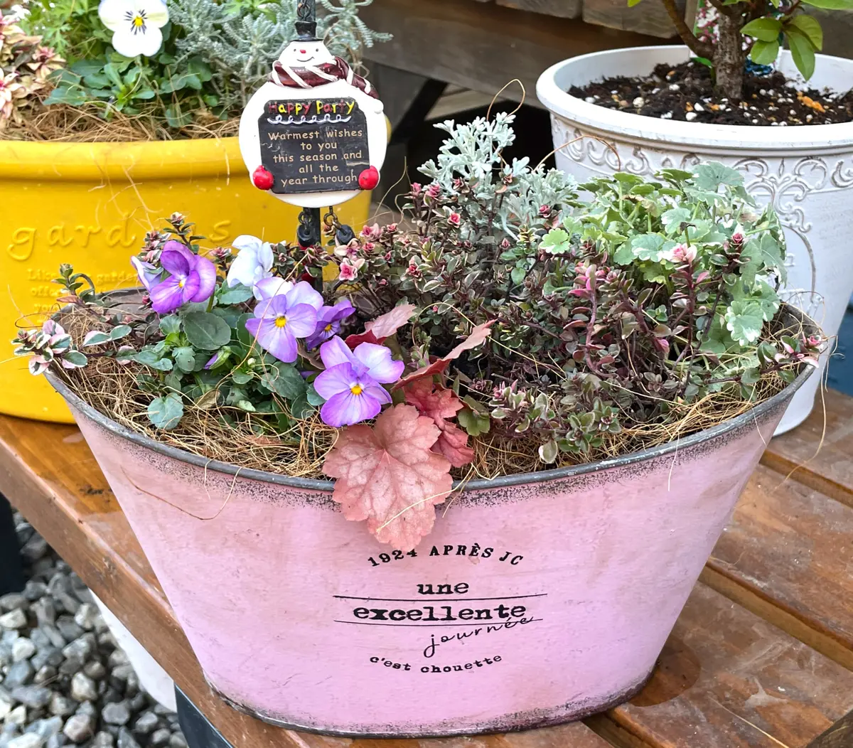 寄せ植え3つ｜園芸日記byあずきもち｜みんなの趣味の園芸｜1174782