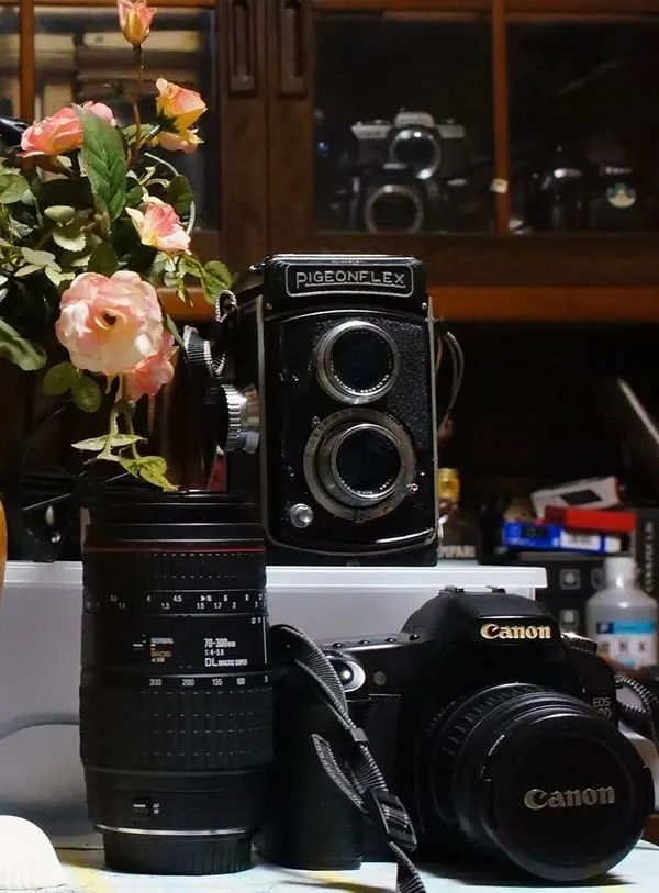 オールドレンズ~CANONFD28mmF2.8|園芸日記byほんわか猫 オールドレンズ~CANONFD28mmF2.8|園芸日記byほんわか猫