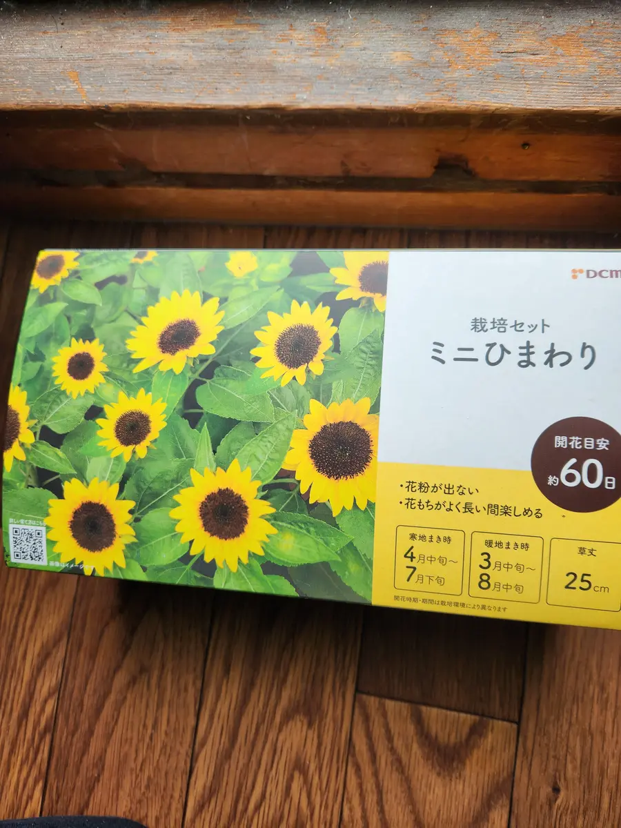 ミニひまわりセット｜園芸日記byピンク·レモネード｜みんなの趣味の