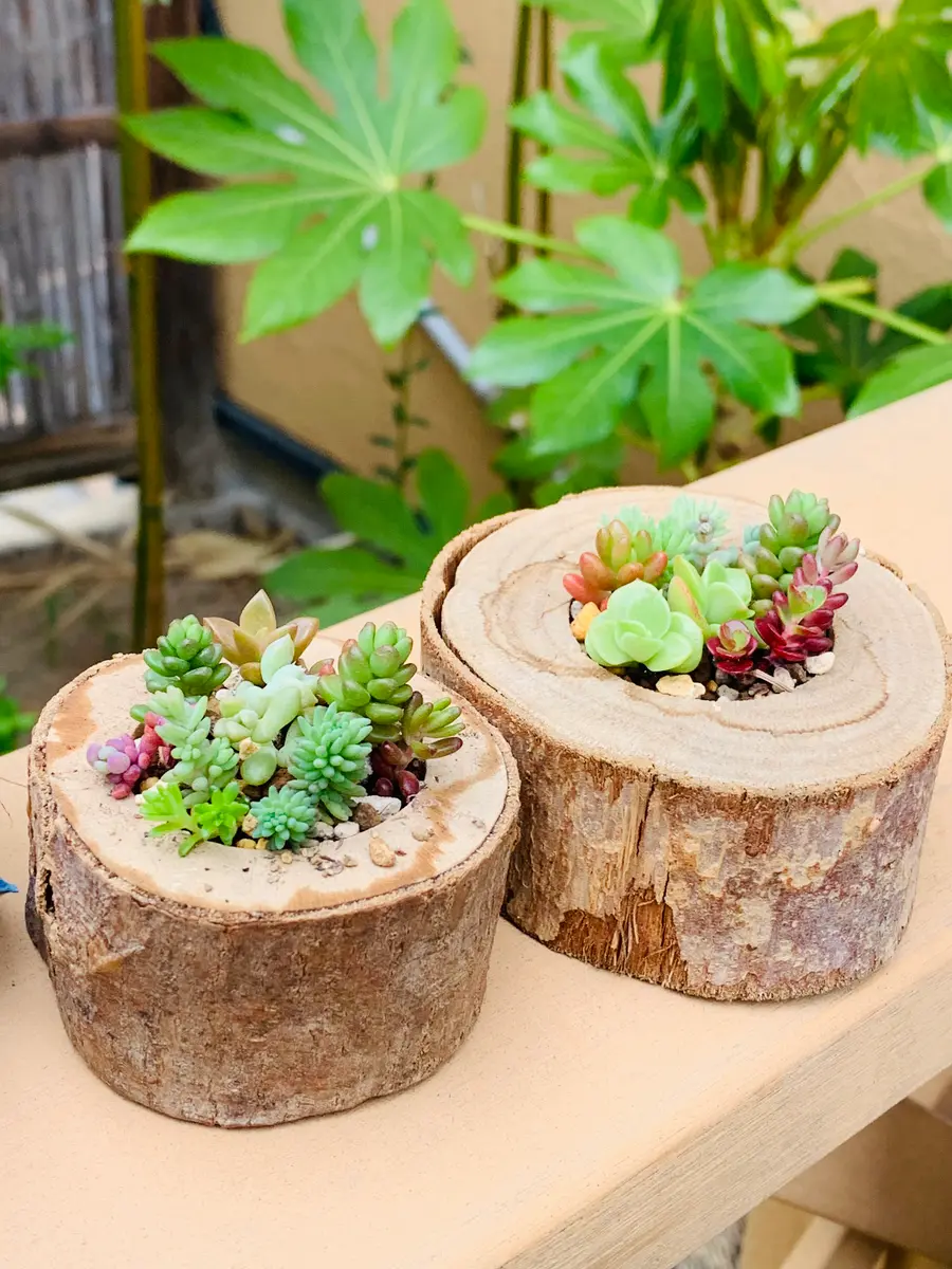 カブトムシ ピンバッジ 3体セット Hollow Knight 」－ ムシたちのカオ ピンバッジセット（シリーズ