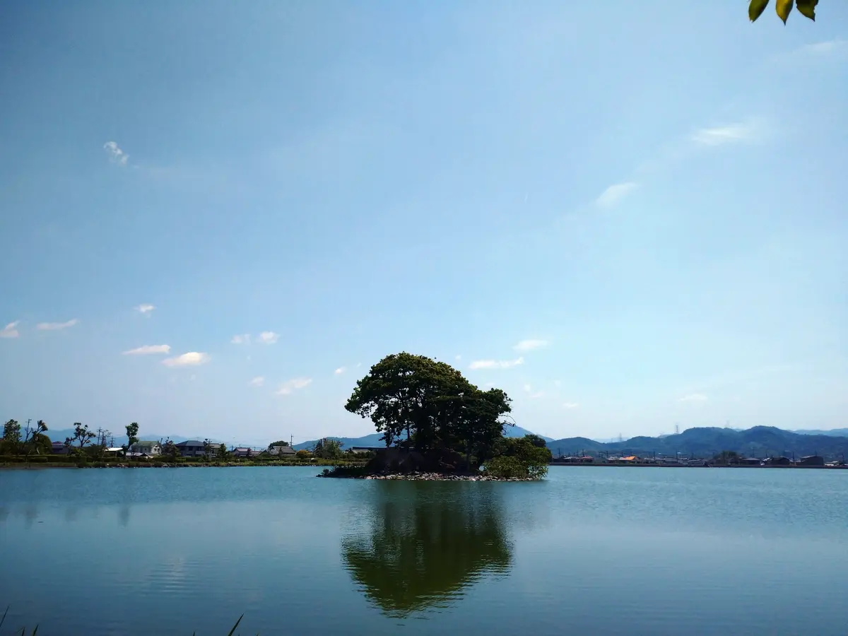 平池緑地公園】アクセス・営業時間・料金情報 - じゃらんnet