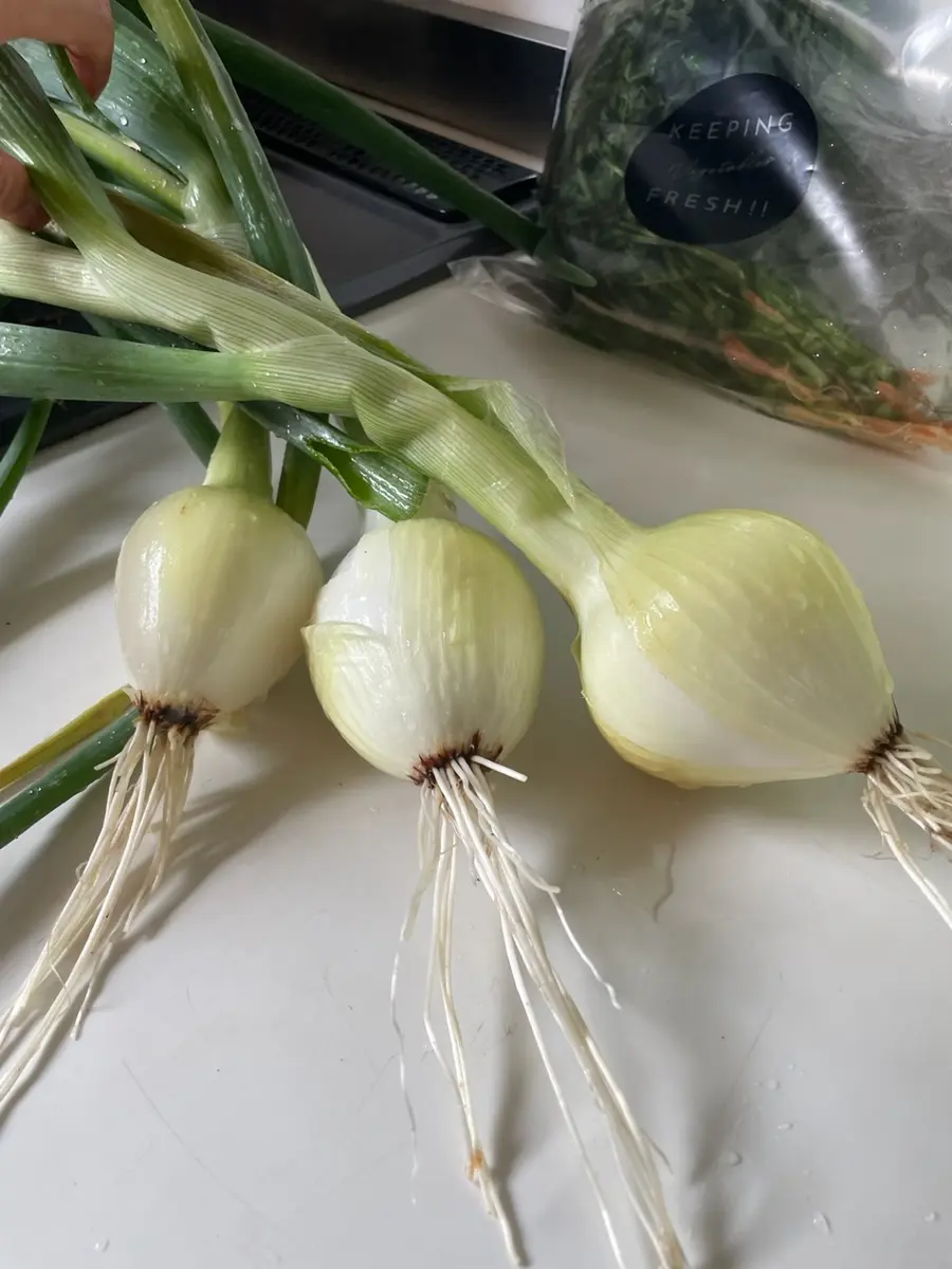 収穫〕イチゴと玉ねぎ｜園芸日記byYuccaBoulevard｜みんなの趣味の園芸