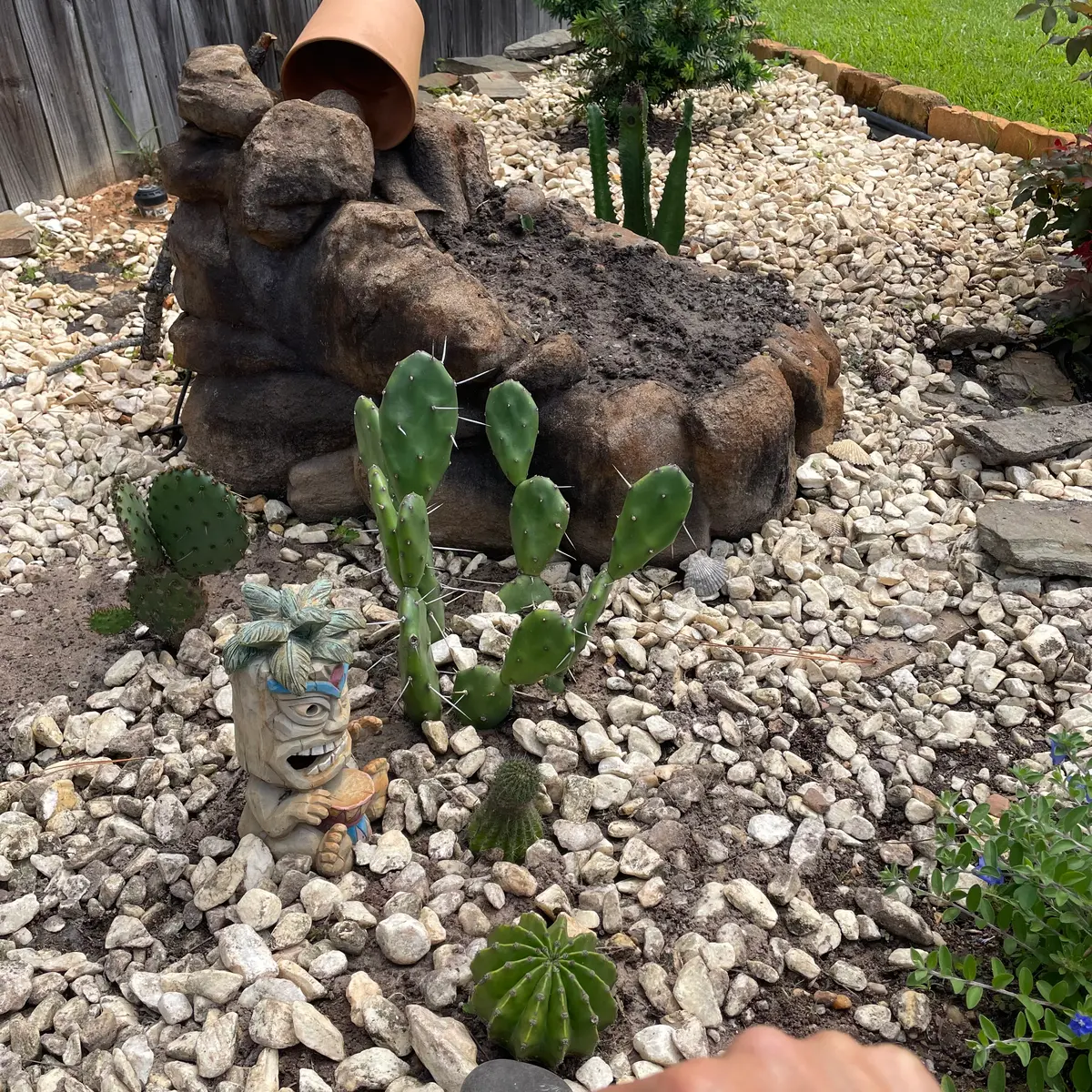 ドライガーデンから引越し｜園芸日記by海辺の住人｜みんなの趣味