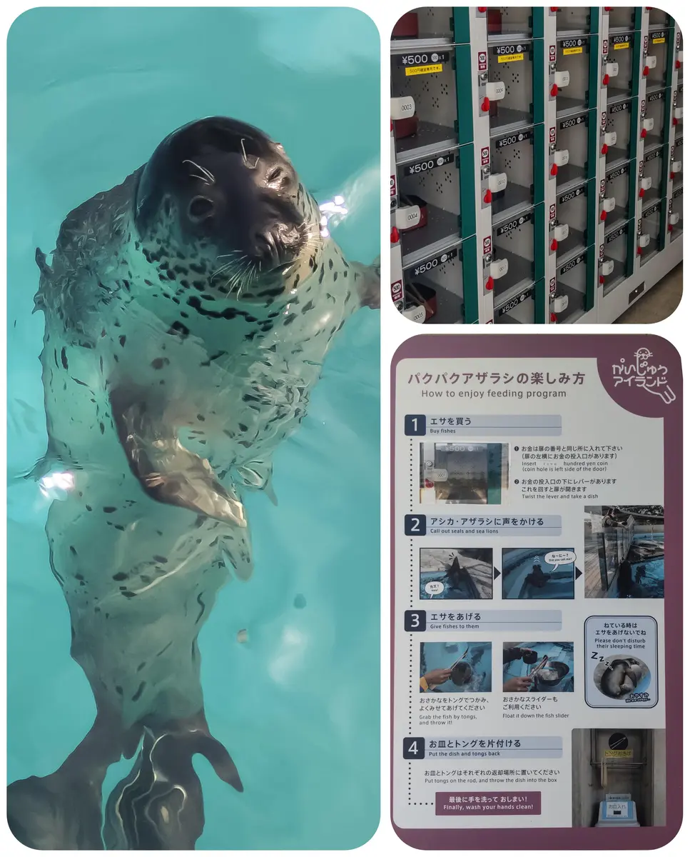 アザラシ博士 飼育員さんもっとおしえて！──アザラシのひみつ | 松橋利光, 池田