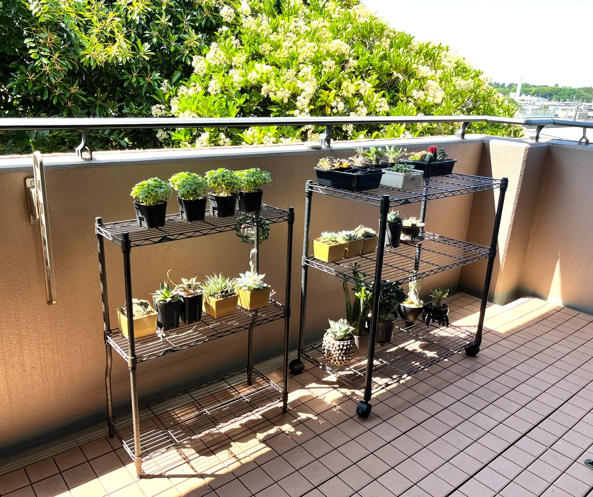 img_cache_d_1215134_1_17175953