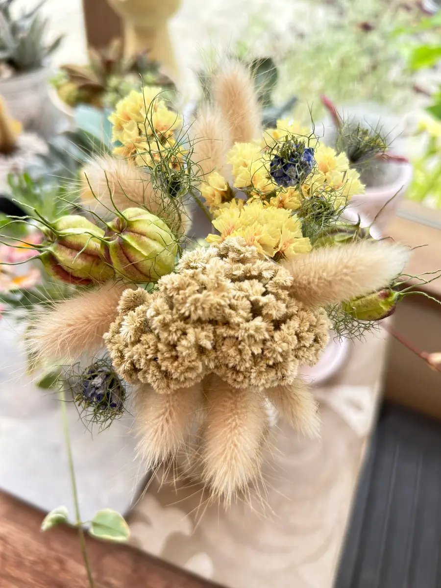 ラグラス オバタス の種｜園芸日記byまいん｜みんなの趣味の園芸｜1215332