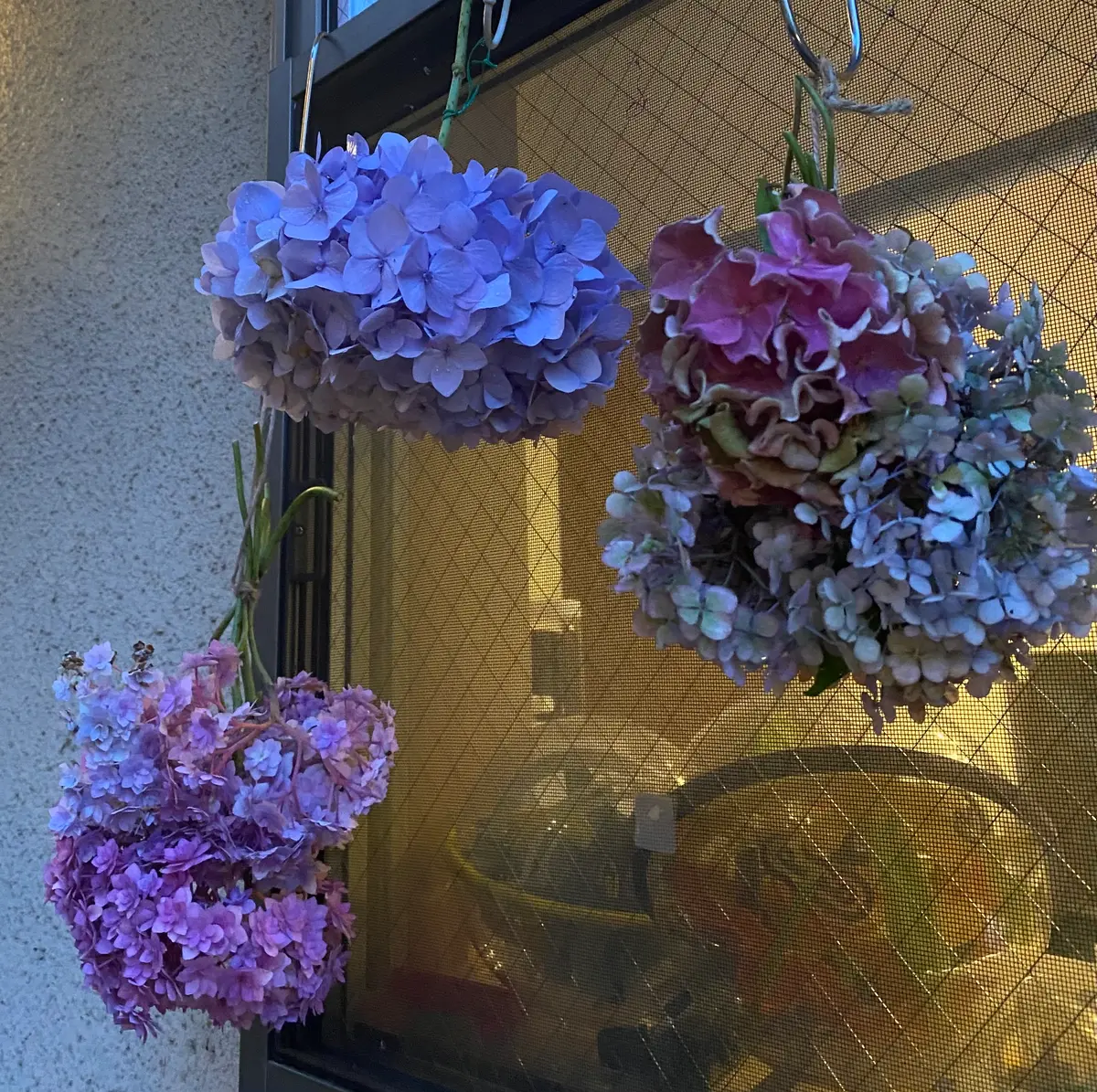 最大10%OFFクーポン 紫陽花リース作りたいな☘️〔写真1枚目〕-ぴょこぴょこさんの フラワー・リース