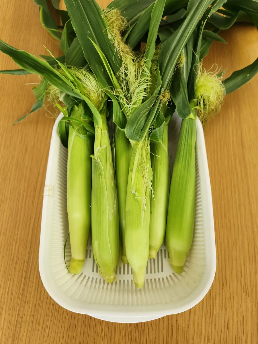 【初売り】 ヤングコーンを収穫、少し遅かった、残念！｜園芸日記by果物屋 トップス