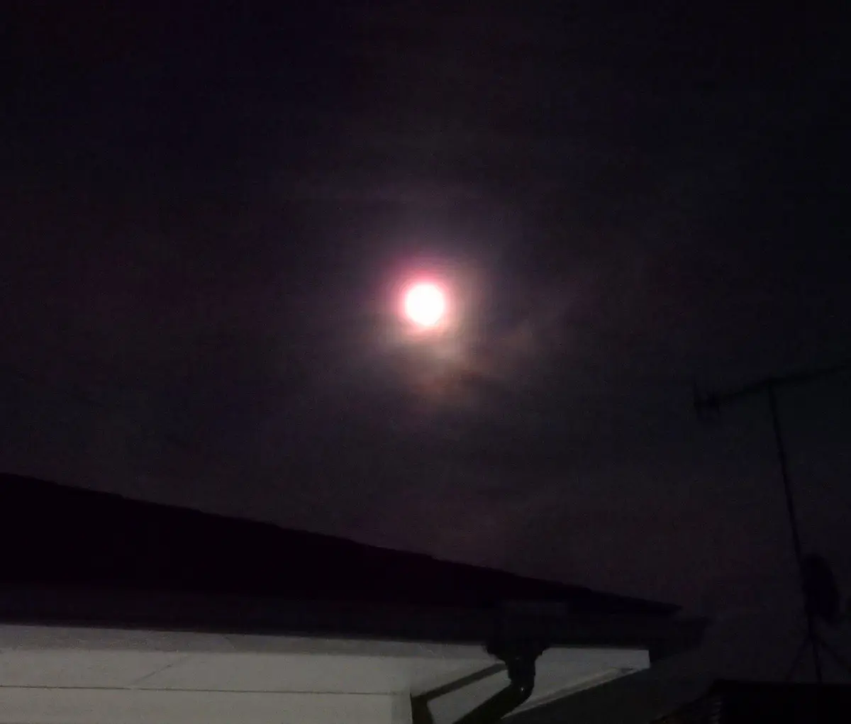 今日の庭から・・・（518）： 満月【ストロベリームーン】前夜