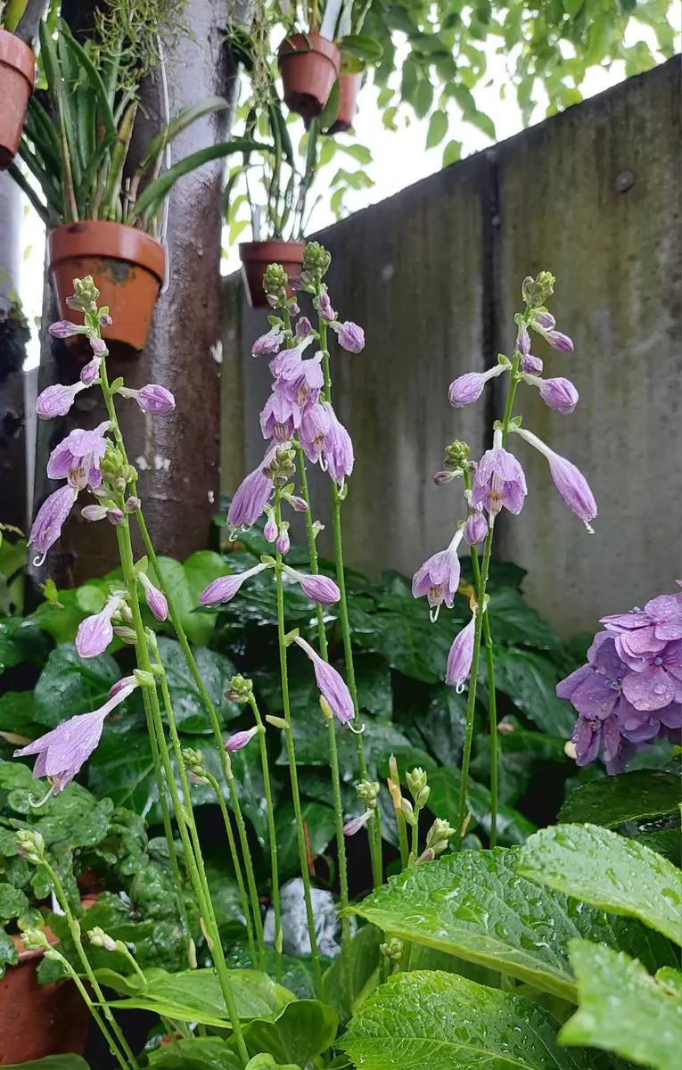 NO.89 秋のブーケ&ブートニアのセット