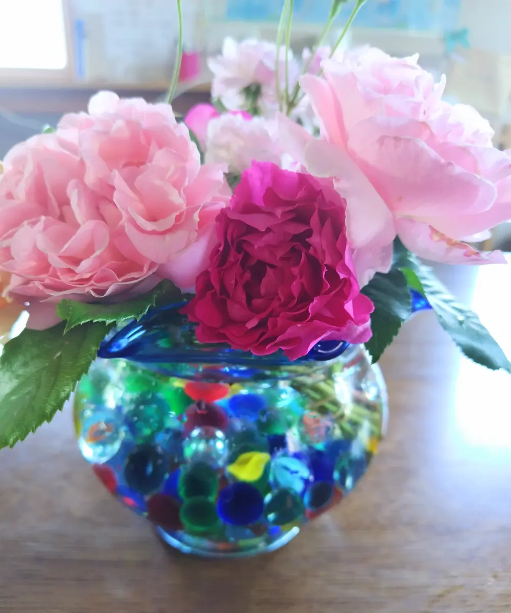 人気商品の中古品・新品・未使用品 薔薇の生け花(金魚鉢)｜園芸日記byjictenko｜みんなの趣味の園芸 その他