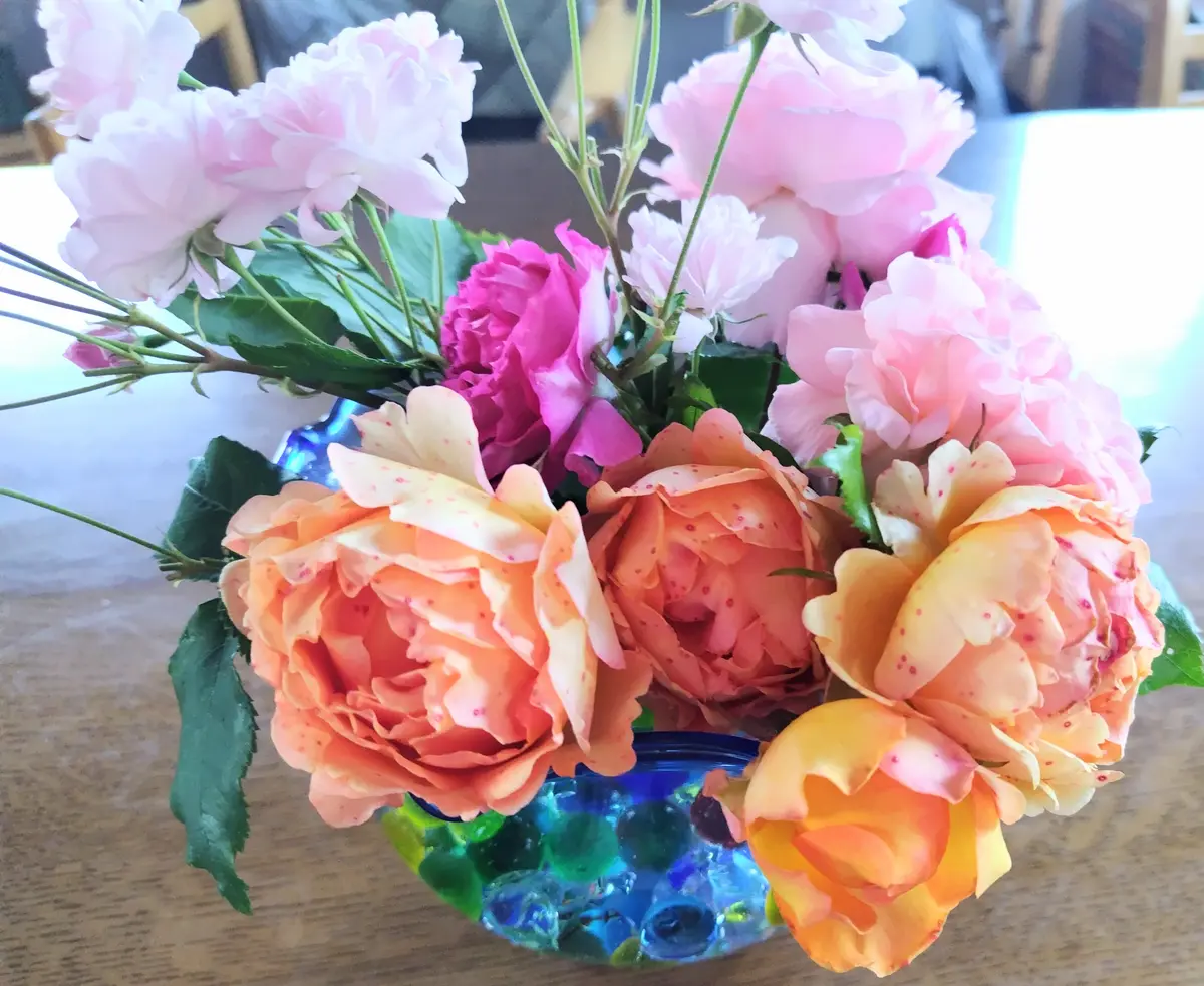 爆買い 薔薇の生け花(金魚鉢)｜園芸日記byjictenko｜みんなの趣味の園芸 その他