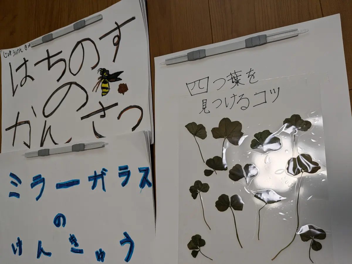 夏休み！自由研究のヒントに朝顔研究 夏休み！自由研究のヒントに朝顔研究