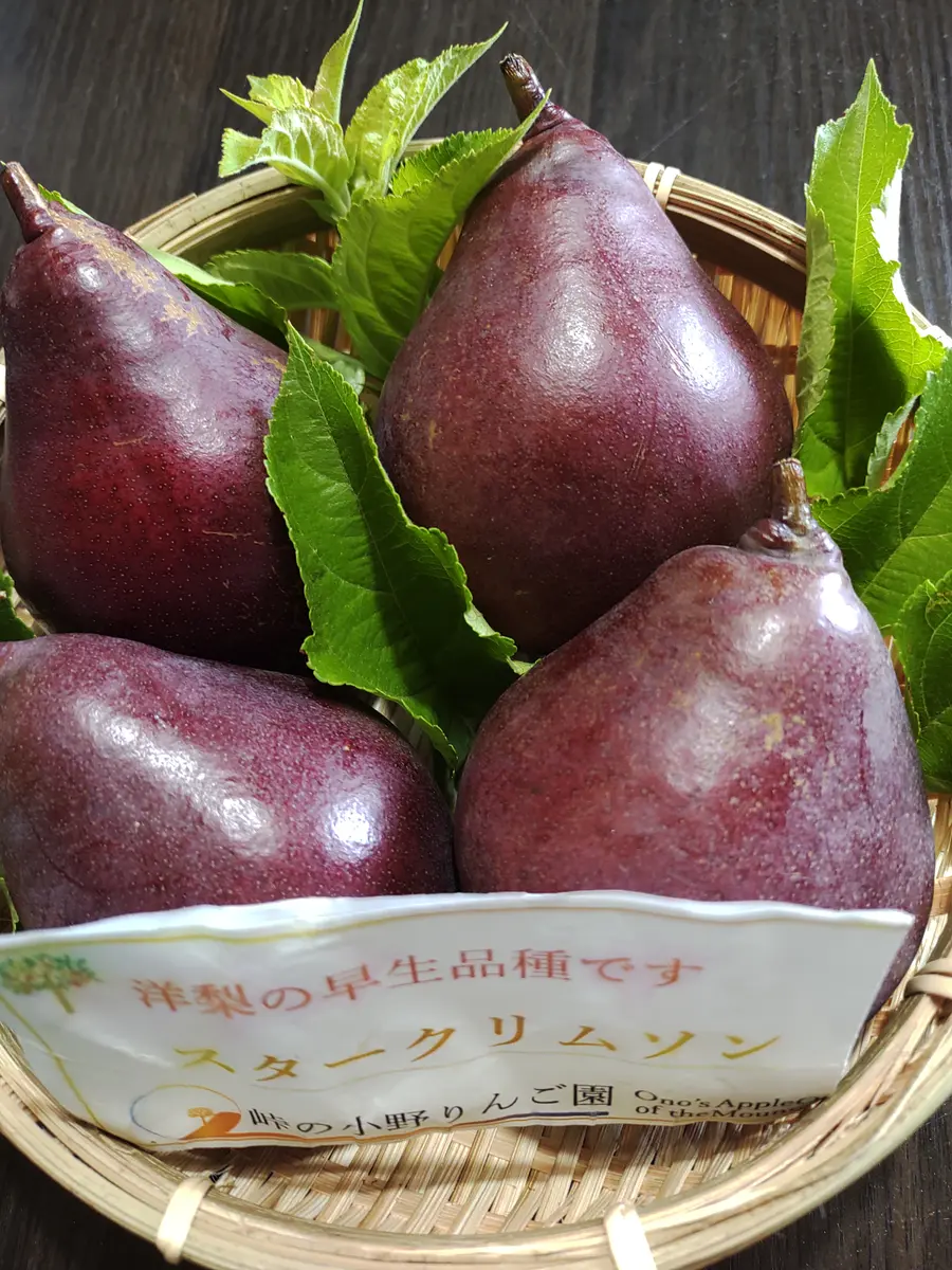 結城美栄子 ちーごん （結城伸子の身近な自然素材から手づくり