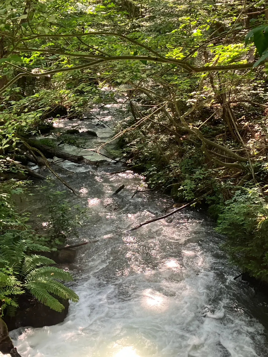 水やり装置をセットして夏旅へ🌻|園芸日記byまるしっぽ|みんなの趣味 水やり装置をセットして夏旅へ🌻|園芸日記byまるしっぽ|みんなの趣味