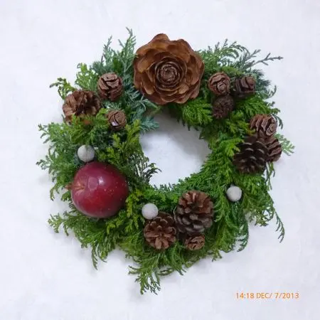 ヒマラヤ杉のスギボックリ？｜園芸日記byおひさま｜みんなの趣味の園芸