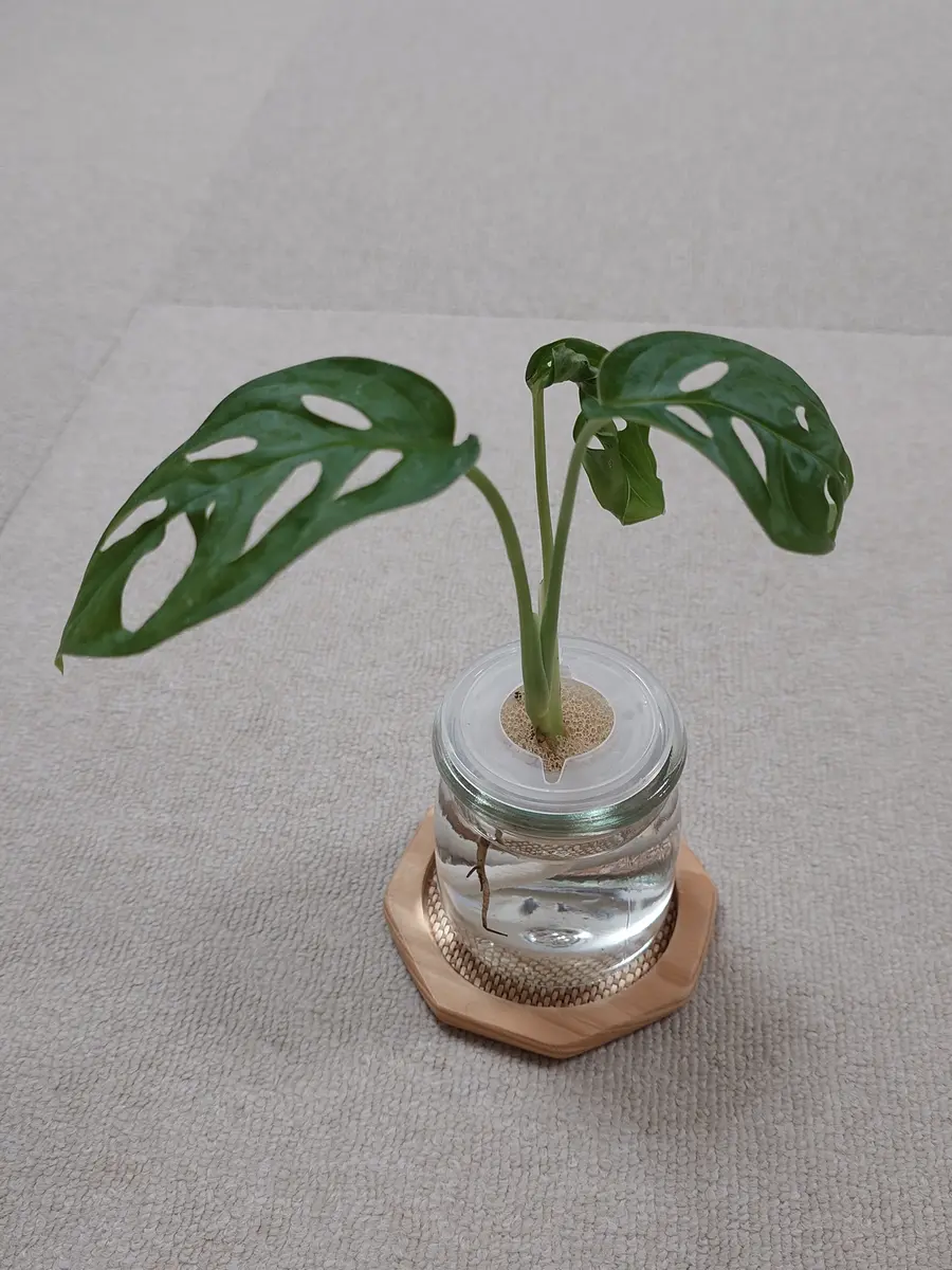 除霊・邪気払い花瓶 除霊・邪気払い花瓶 【公式通販】