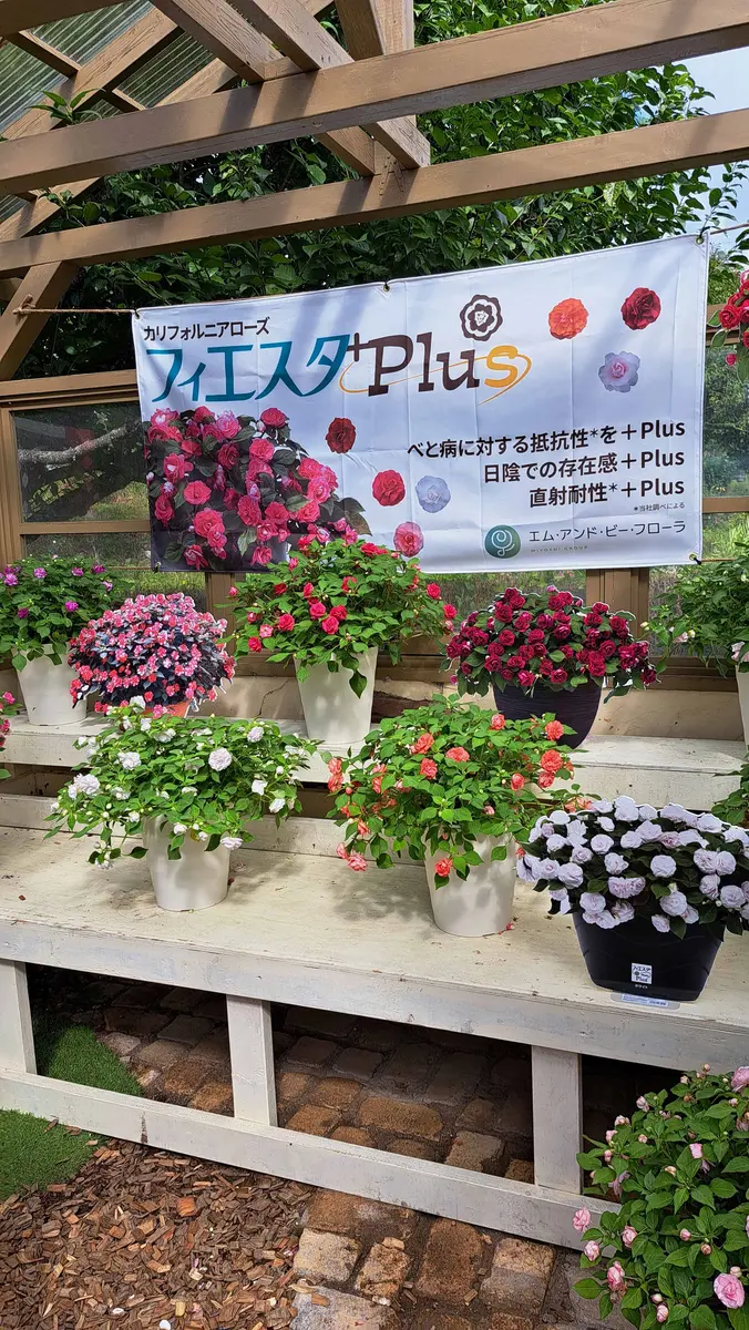 フラワートライアル 2024 3｜園芸日記by金子 明人｜みんなの趣味