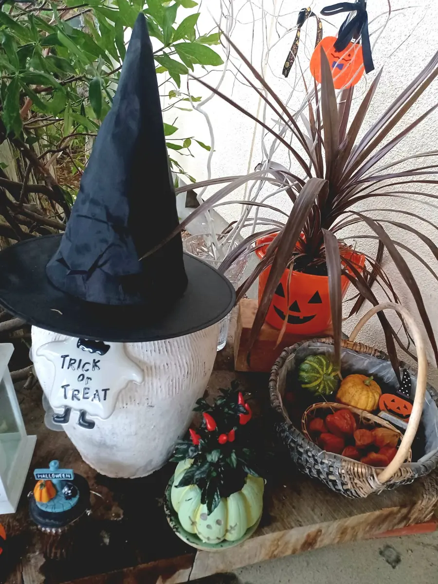 【楓花様】ハロウィン飾り各種  置物 羊毛フェルト ちりめん ハンドメイド ハロウィン 玄関置物 100均 楓花様]ハロウィン飾り各種 置物