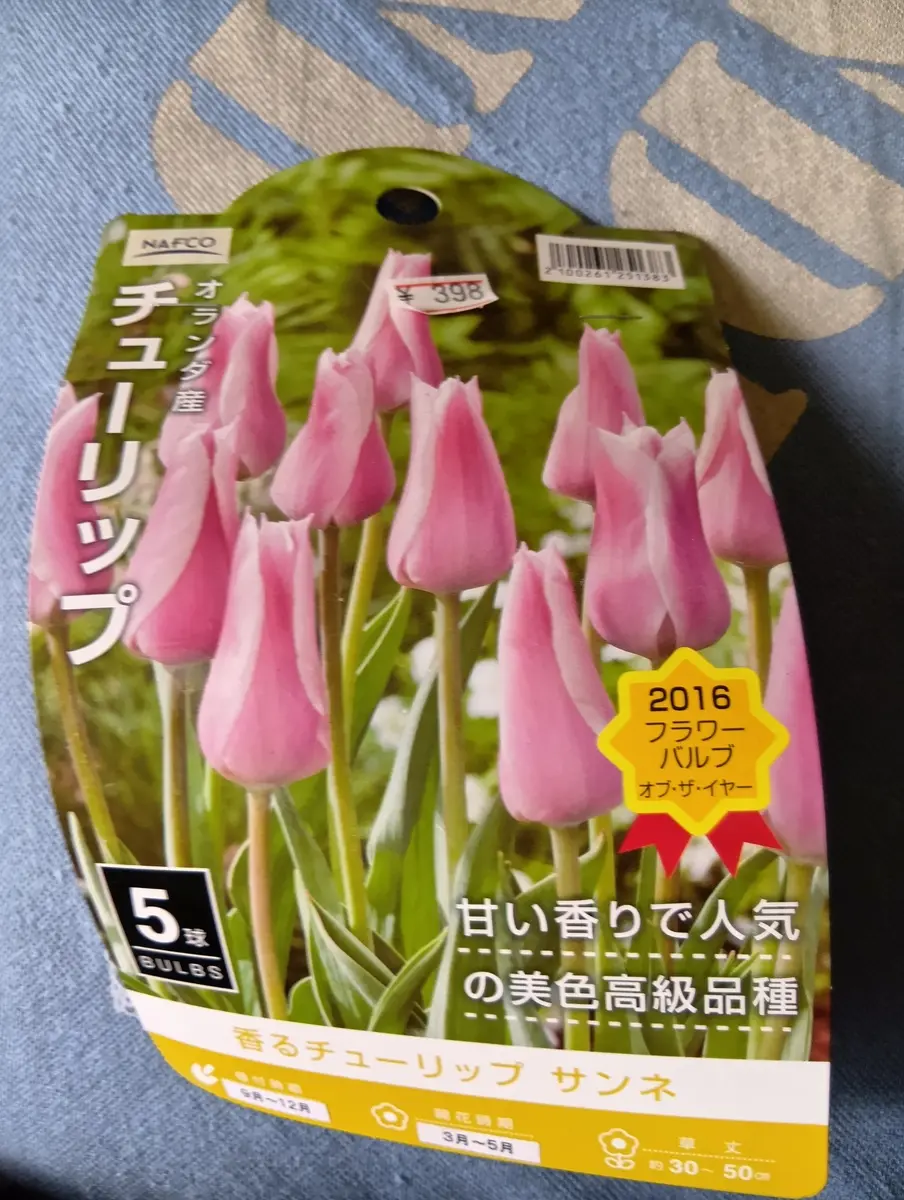 お手頃価格 チューリップの球根を(⁠.⁠ ⁠❛⁠.⁠)｜園芸日記by ⁠ᴗ⁠ ⁠❛⁠ フラワー・リース