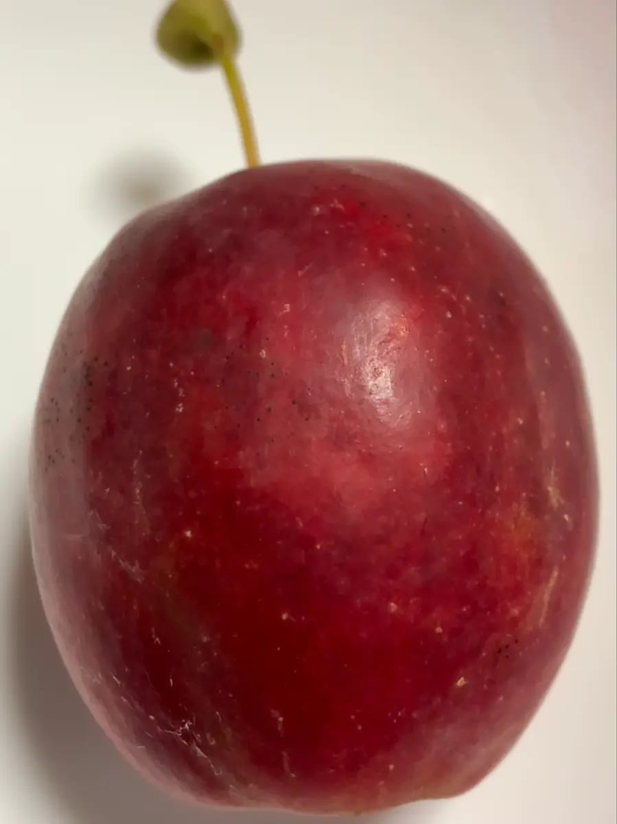 落ちたリンゴちゃん🍎｜園芸日記byまゆ 71152｜みんなの趣味の