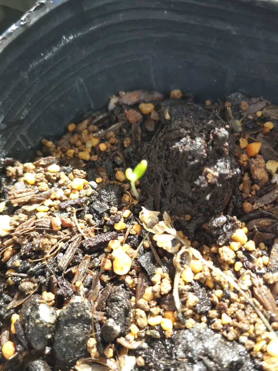 Robby 芽 BEET-JAPANフルエキ装着【ZX-10R】入庫しました！ [最新情報] | U