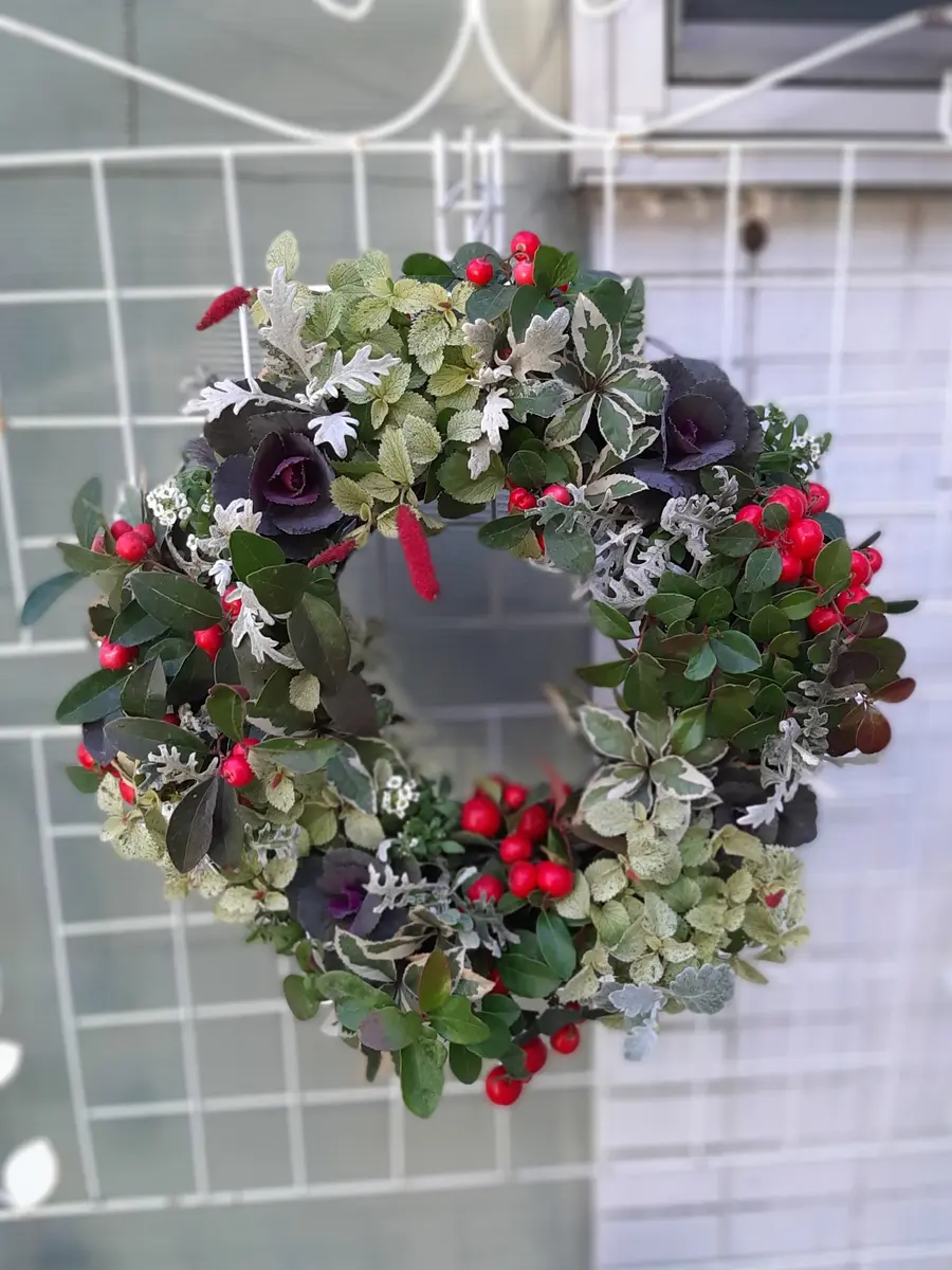 クリスマスリースを作りました｜園芸日記byOhmura｜みんなの趣味の園芸｜1265254