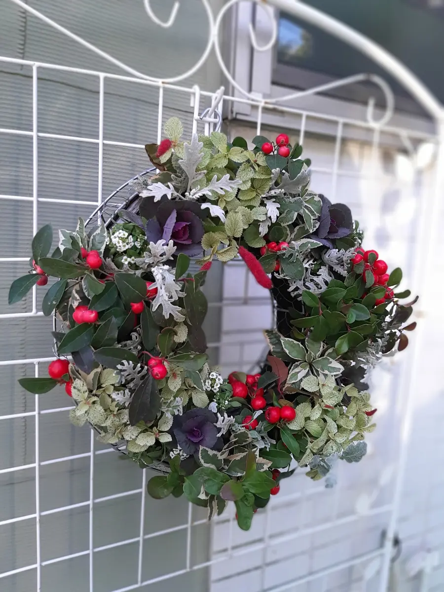 クリスマスリースを作りました｜園芸日記byOhmura｜みんなの趣味の園芸｜1265254