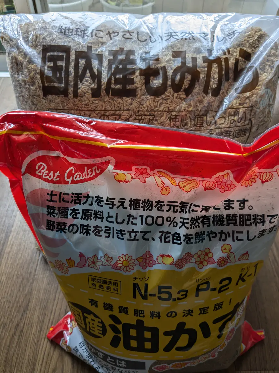 タマネギ苗をゲットしました✨｜園芸日記byとまトマトん