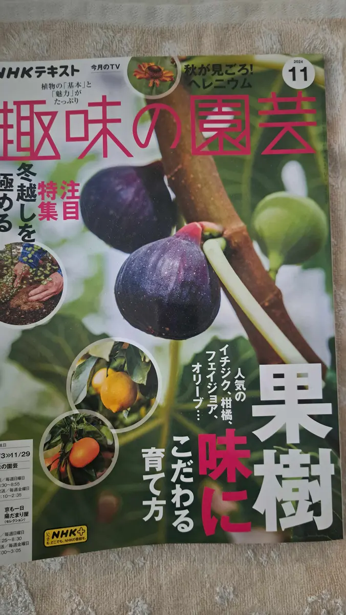 12月号の予告｜園芸日記by金子 明人｜みんなの趣味の園芸｜1266712