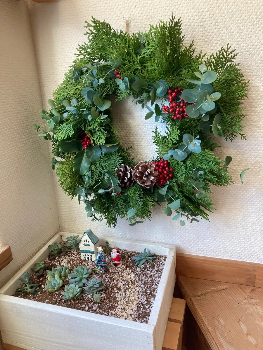 クロガネモチ　リース　クリスマスリース 🎄クリスマスリースを作りました🟢✨｜園芸日記byしろまる｜みんなの