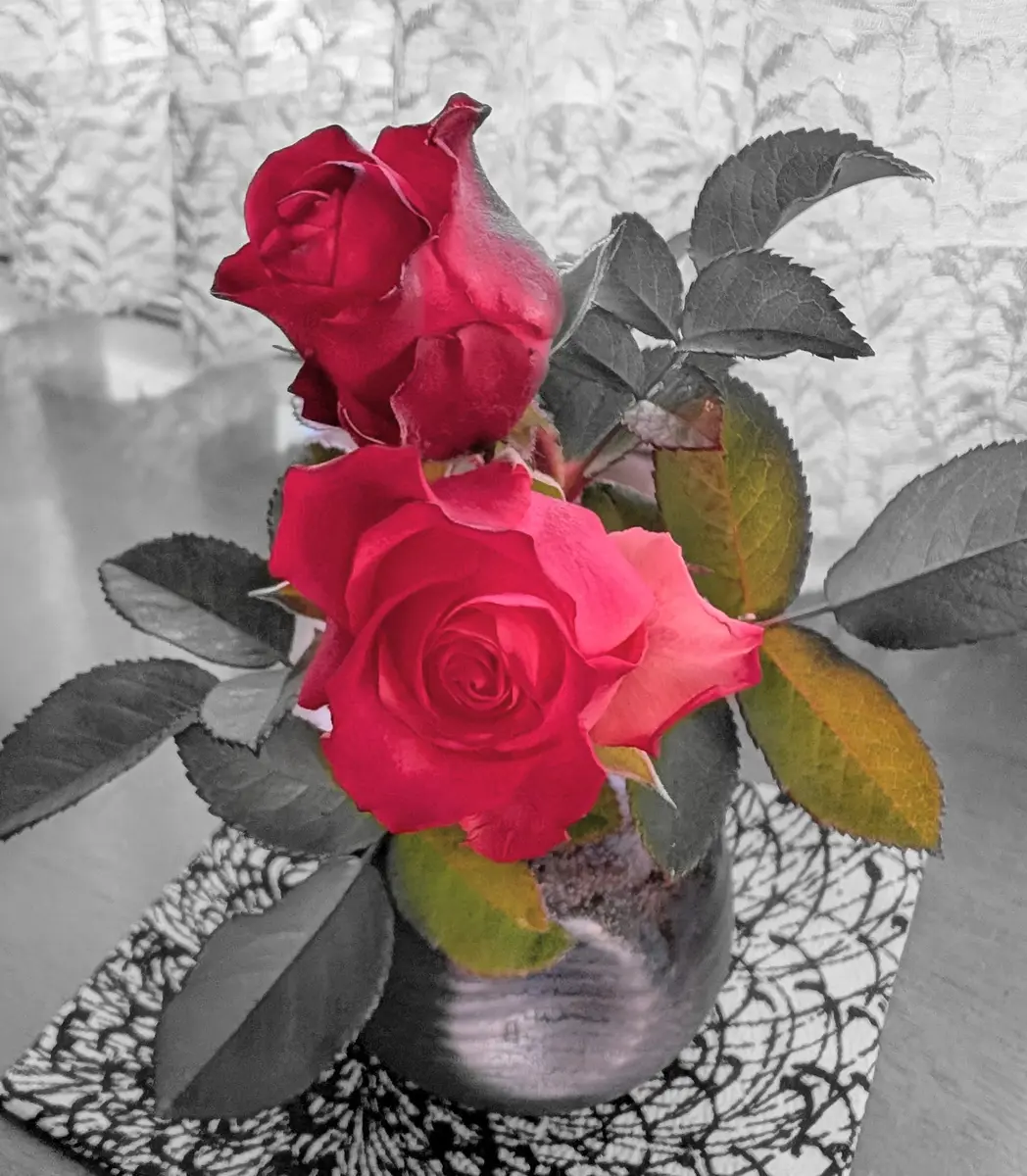 薔薇のリースM | ichirin's STORE