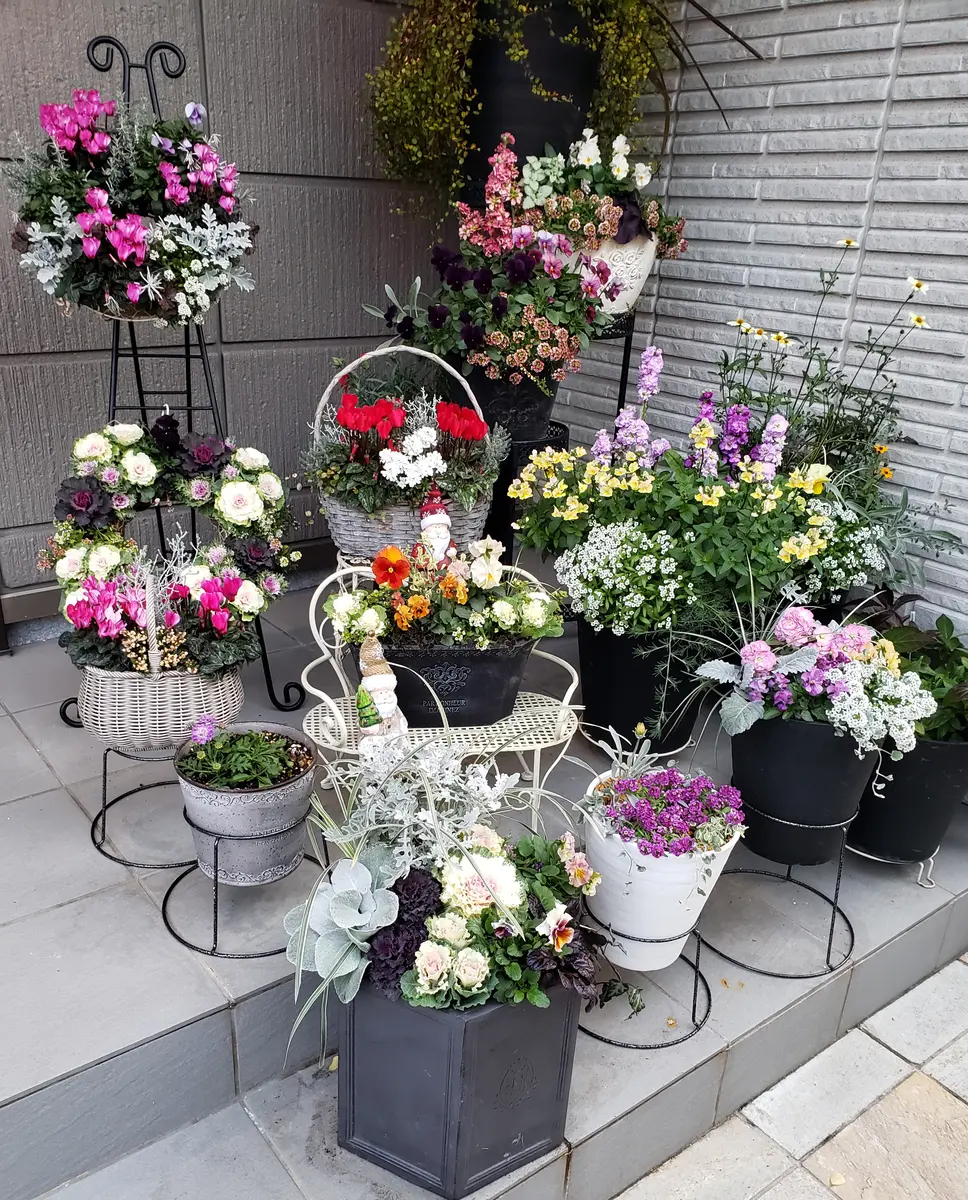 ⭐︎ひい様ご専用〜多肉植物 寄せ植え〜⭐︎ 【公式通販】