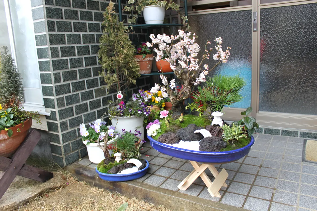 松竹梅の寄せ植えが大好きです。｜園芸日記bykakip-ken｜みんなの趣味